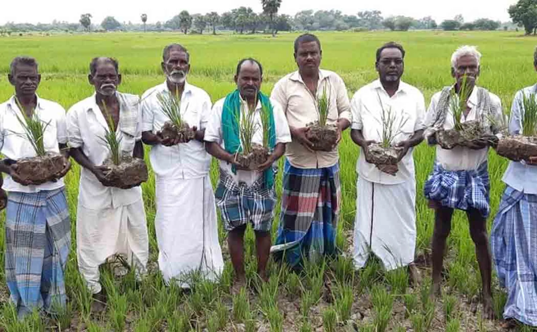 tiruvarur issue